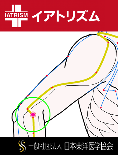 特定の臓腑と内属し表裏関係をも有する十二経脈の一つ手の『陽明大腸経』に属する経穴「曲池」のある風景