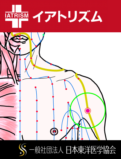 特定の臓腑と内属し表裏関係をも有する十二経脈の一つ手の『陽明大腸経』に属する経穴「臂臑」のある風景