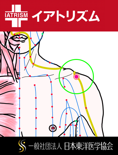 特定の臓腑と内属し表裏関係をも有する十二経脈の一つ手の『陽明大腸経』に属する経穴「肩髃」のある風景