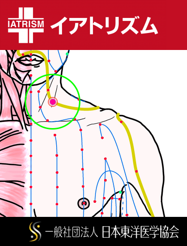 特定の臓腑と内属し表裏関係をも有する十二経脈の一つ手の『陽明大腸経』に属する経穴「天鼎」のある風景