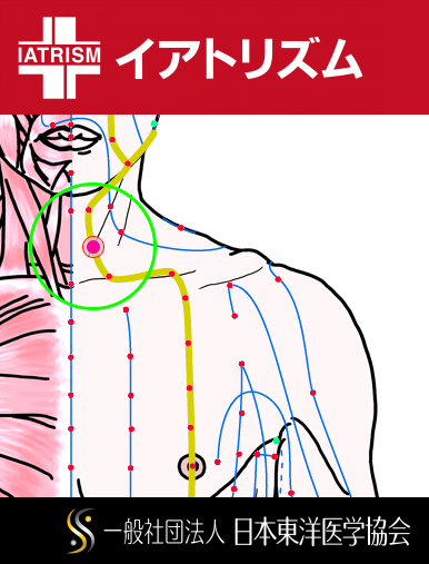 特定の臓腑と内属し表裏関係をも有する十二経脈の一つ足の『陽明胃経』に属する経穴「水突」のある風景