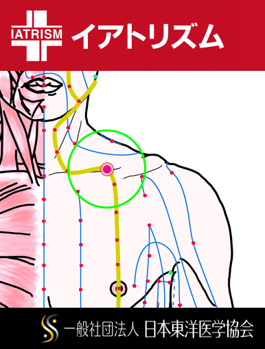 特定の臓腑と内属し表裏関係をも有する十二経脈の一つ足の『陽明胃経』に属する経穴「缺盆」のある風景