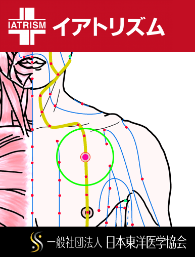 特定の臓腑と内属し表裏関係をも有する十二経脈の一つ足の『陽明胃経』に属する経穴「庫房」のある風景