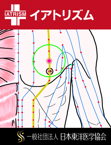 特定の臓腑と内属し表裏関係をも有する十二経脈の一つ足の『陽明胃経』に属する経穴「膺窓」のある風景
