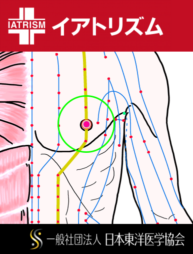 特定の臓腑と内属し表裏関係をも有する十二経脈の一つ足の『陽明胃経』に属する経穴「乳中」のある風景