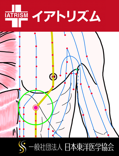 特定の臓腑と内属し表裏関係をも有する十二経脈の一つ足の『陽明胃経』に属する経穴「不容」のある風景