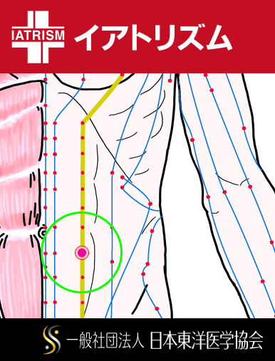 特定の臓腑と内属し表裏関係をも有する十二経脈の一つ足の『陽明胃経』に属する経穴「外陵」のある風景
