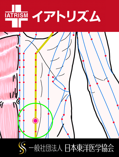 特定の臓腑と内属し表裏関係をも有する十二経脈の一つ足の『陽明胃経』に属する経穴「大巨」のある風景