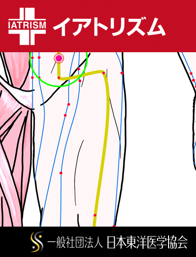 特定の臓腑と内属し表裏関係をも有する十二経脈の一つ足の『陽明胃経』に属する経穴「帰来」のある風景