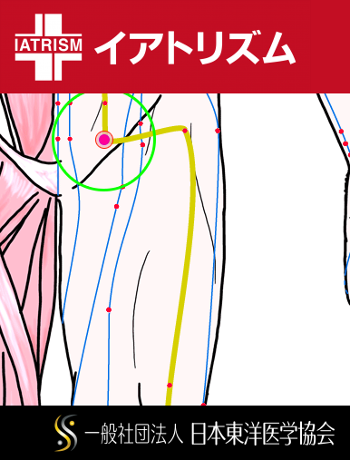 特定の臓腑と内属し表裏関係をも有する十二経脈の一つ足の『陽明胃経』に属する経穴「気衝」のある風景