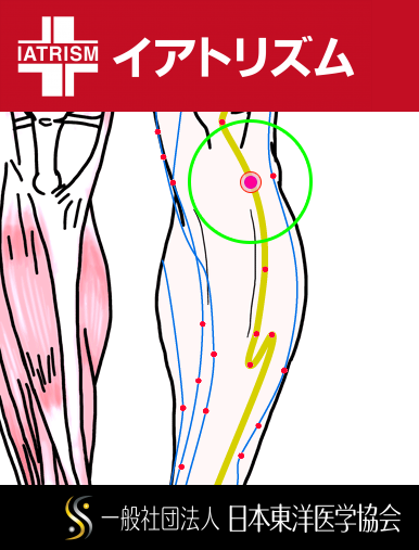 特定の臓腑と内属し表裏関係をも有する十二経脈の一つ足の『陽明胃経』に属する経穴「足三里」のある風景