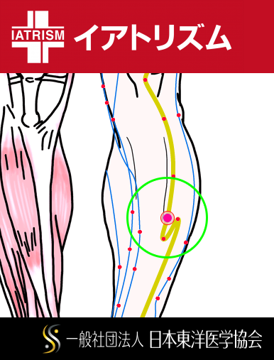 特定の臓腑と内属し表裏関係をも有する十二経脈の一つ足の『陽明胃経』に属する経穴「条口」のある風景