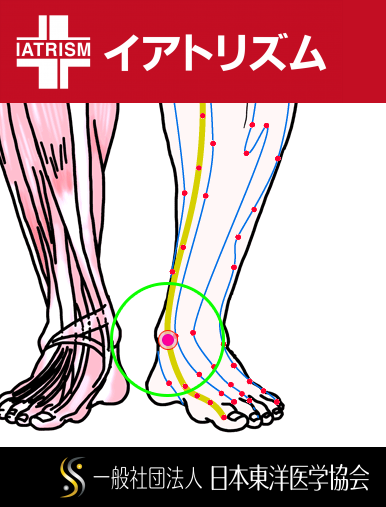 特定の臓腑と内属し表裏関係をも有する十二経脈の一つ足の『太陰脾経』に属する経穴「商丘」のある風景
