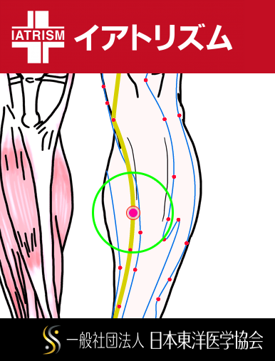 特定の臓腑と内属し表裏関係をも有する十二経脈の一つ足の『太陰脾経』に属する経穴「地機」のある風景