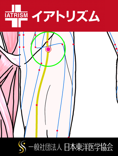 特定の臓腑と内属し表裏関係をも有する十二経脈の一つ足の『太陰脾経』に属する経穴「衝門」のある風景