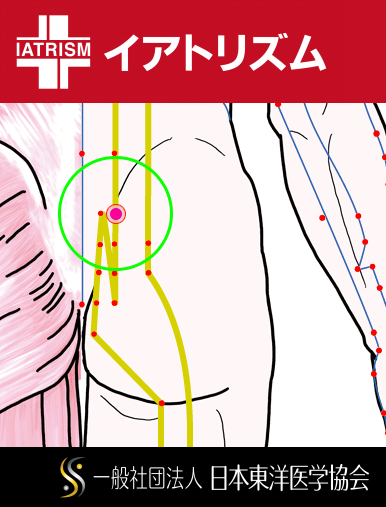 特定の臓腑と内属し表裏関係をも有する十二経脈の一つ足の『太陽膀胱経』に属する経穴「小腸兪」のある風景