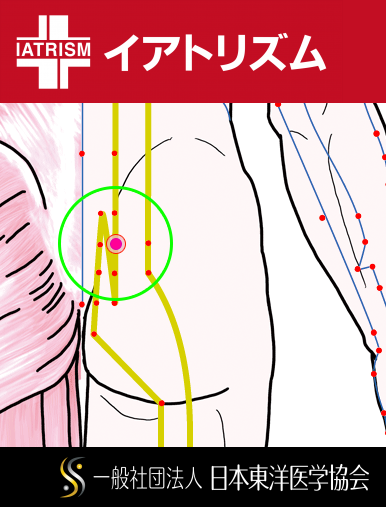特定の臓腑と内属し表裏関係をも有する十二経脈の一つ足の『太陽膀胱経』に属する経穴「膀胱兪」のある風景