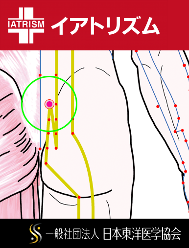 特定の臓腑と内属し表裏関係をも有する十二経脈の一つ足の『太陽膀胱経』に属する経穴「上髎」のある風景