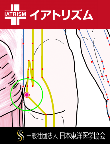 特定の臓腑と内属し表裏関係をも有する十二経脈の一つ足の『太陽膀胱経』に属する経穴「会陽」のある風景