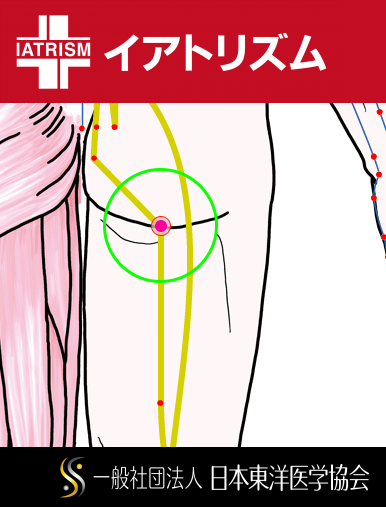 特定の臓腑と内属し表裏関係をも有する十二経脈の一つ足の『太陽膀胱経』に属する経穴「承扶」のある風景