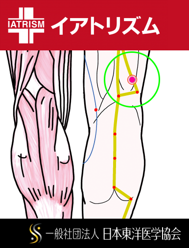 特定の臓腑と内属し表裏関係をも有する十二経脈の一つ足の『太陽膀胱経』に属する経穴「浮郄」のある風景