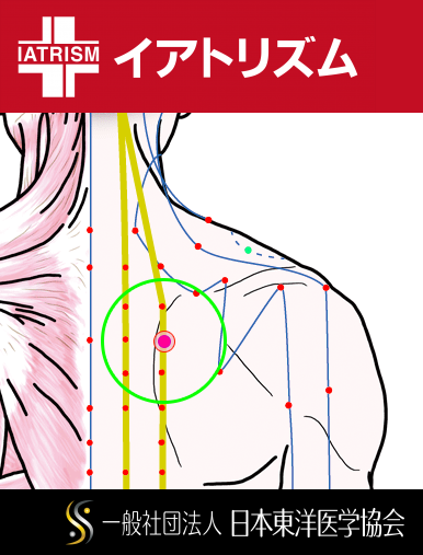 特定の臓腑と内属し表裏関係をも有する十二経脈の一つ足の『太陽膀胱経』に属する経穴「魄戸」のある風景