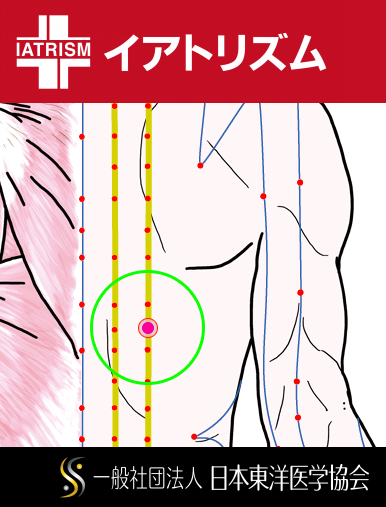 特定の臓腑と内属し表裏関係をも有する十二経脈の一つ足の『太陽膀胱経』に属する経穴「陽綱」のある風景