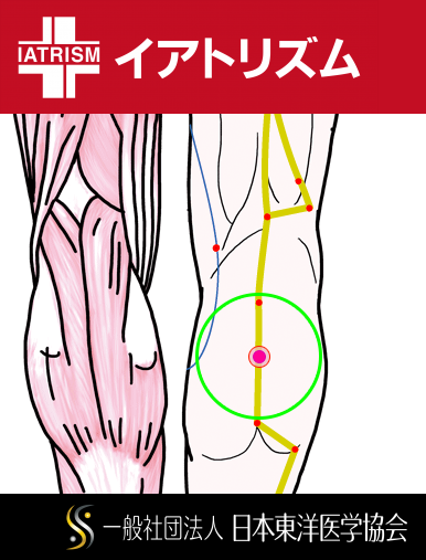 特定の臓腑と内属し表裏関係をも有する十二経脈の一つ足の『太陽膀胱経』に属する経穴「承筋」のある風景
