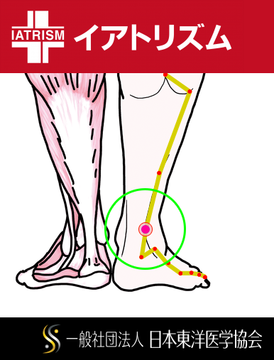 特定の臓腑と内属し表裏関係をも有する十二経脈の一つ足の『太陽膀胱経』に属する経穴「崑崙」のある風景