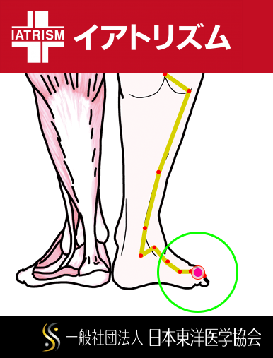 特定の臓腑と内属し表裏関係をも有する十二経脈の一つ足の『太陽膀胱経』に属する経穴「足通谷」のある風景