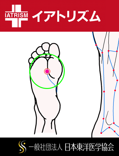 特定の臓腑と内属し表裏関係をも有する十二経脈の一つ足の『少陰腎経』に属する経穴「湧泉」のある風景