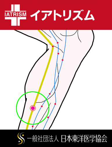 特定の臓腑と内属し表裏関係をも有する十二経脈の一つ足の『少陰腎経』に属する経穴「築賓」のある風景