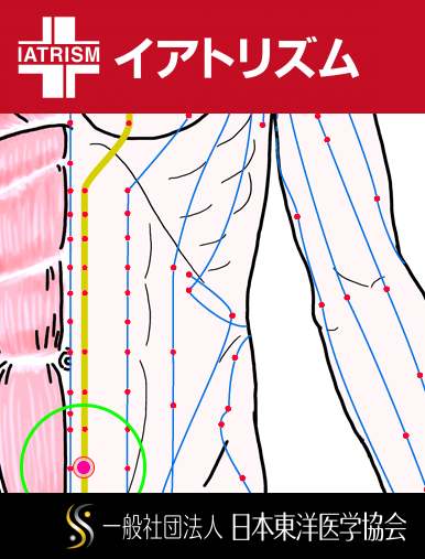 特定の臓腑と内属し表裏関係をも有する十二経脈の一つ足の『少陰腎経』に属する経穴「気穴」のある風景
