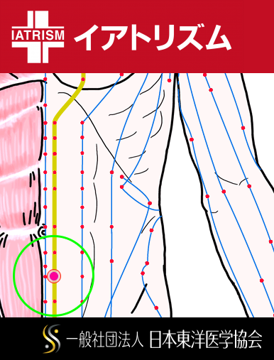 特定の臓腑と内属し表裏関係をも有する十二経脈の一つ足の『少陰腎経』に属する経穴「四満」のある風景