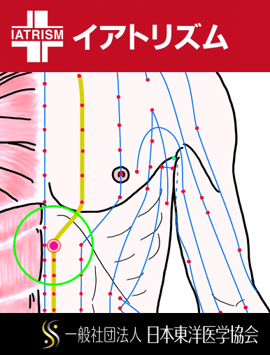 特定の臓腑と内属し表裏関係をも有する十二経脈の一つ足の『少陰腎経』に属する経穴「幽門」のある風景