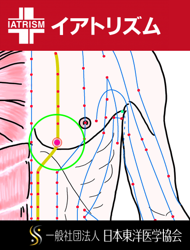 特定の臓腑と内属し表裏関係をも有する十二経脈の一つ足の『少陰腎経』に属する経穴「歩廊」のある風景