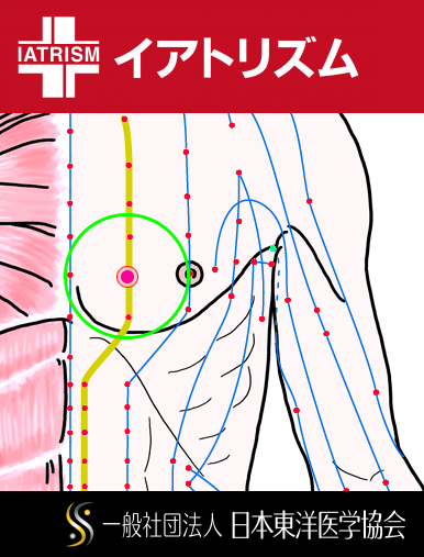 特定の臓腑と内属し表裏関係をも有する十二経脈の一つ足の『少陰腎経』に属する経穴「神封」のある風景