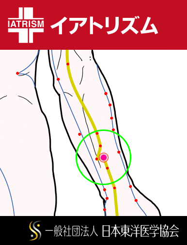 特定の臓腑と内属し表裏関係をも有する十二経脈の一つ手の『少陽三焦経』に属する経穴「支溝」のある風景