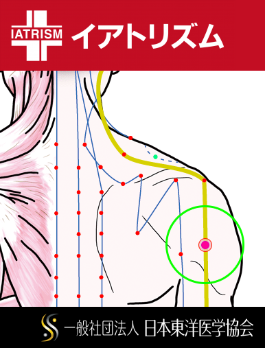 特定の臓腑と内属し表裏関係をも有する十二経脈の一つ手の『少陽三焦経』に属する経穴「臑会」のある風景