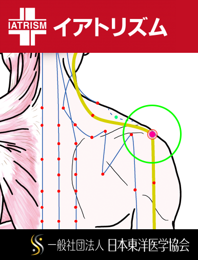 特定の臓腑と内属し表裏関係をも有する十二経脈の一つ手の『少陽三焦経』に属する経穴「肩髎」のある風景