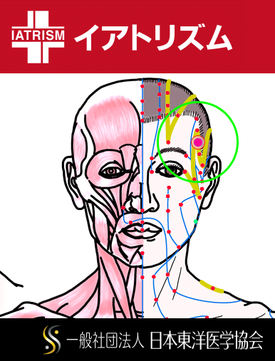 特定の臓腑と内属し表裏関係をも有する十二経脈の一つ足の『少陽胆経』に属する経穴「懸顱」のある風景