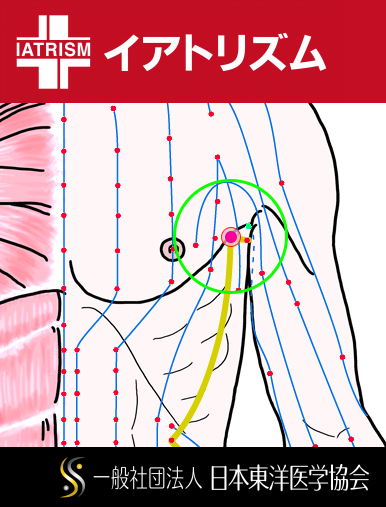 特定の臓腑と内属し表裏関係をも有する十二経脈の一つ足の『少陽胆経』に属する経穴「輒筋」のある風景
