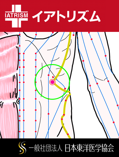 特定の臓腑と内属し表裏関係をも有する十二経脈の一つ足の『少陽胆経』に属する経穴「日月」のある風景