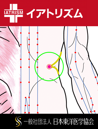 特定の臓腑と内属し表裏関係をも有する十二経脈の一つ足の『少陽胆経』に属する経穴「京門」のある風景