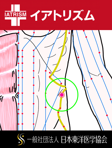 特定の臓腑と内属し表裏関係をも有する十二経脈の一つ足の『少陽胆経』に属する経穴「帯脈」のある風景