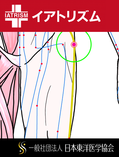 特定の臓腑と内属し表裏関係をも有する十二経脈の一つ足の『少陽胆経』に属する経穴「環跳」のある風景