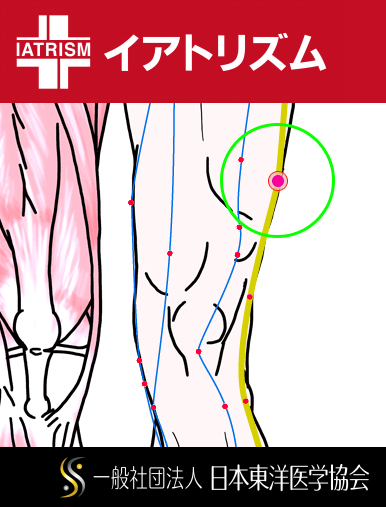 特定の臓腑と内属し表裏関係をも有する十二経脈の一つ足の『少陽胆経』に属する経穴「中瀆」のある風景