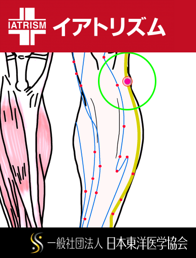 特定の臓腑と内属し表裏関係をも有する十二経脈の一つ足の『少陽胆経』に属する経穴「陽陵泉」のある風景