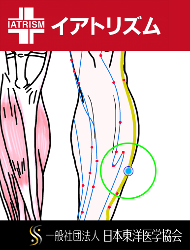 特定の臓腑と内属し表裏関係をも有する十二経脈の一つ足の『少陽胆経』に属する経穴「外丘」のある風景