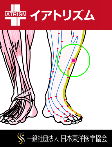 特定の臓腑と内属し表裏関係をも有する十二経脈の一つ足の『少陽胆経』に属する経穴「光明」のある風景